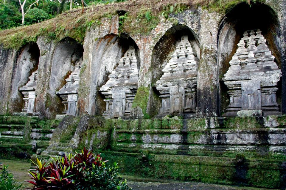 1BCD5223-71D3-4F19-9805-F1AE4256F162