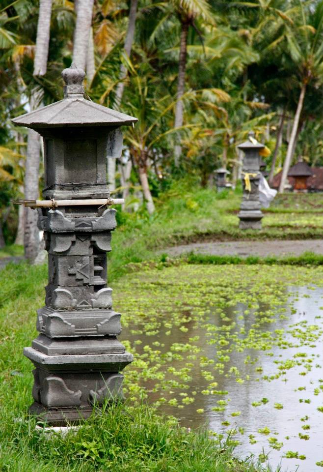 3F675DF4-DA35-41C4-9282-EB62443A3175