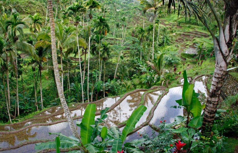 AE9D9CD1-9F64-43B8-B281-B509A1464D73