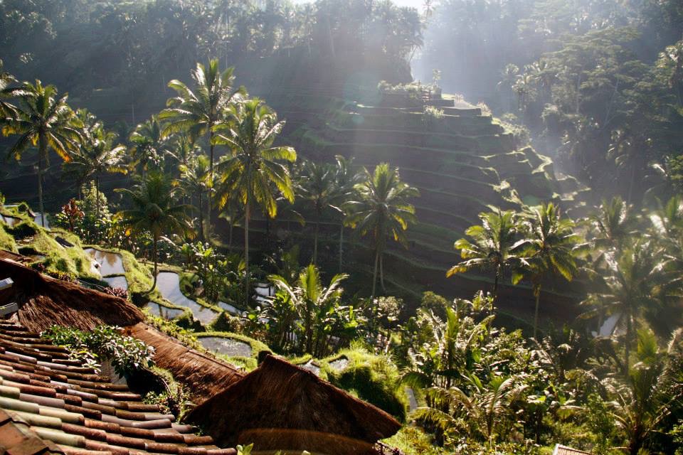 B2DF60CC-EF2B-489E-90B8-62825DB5A66D