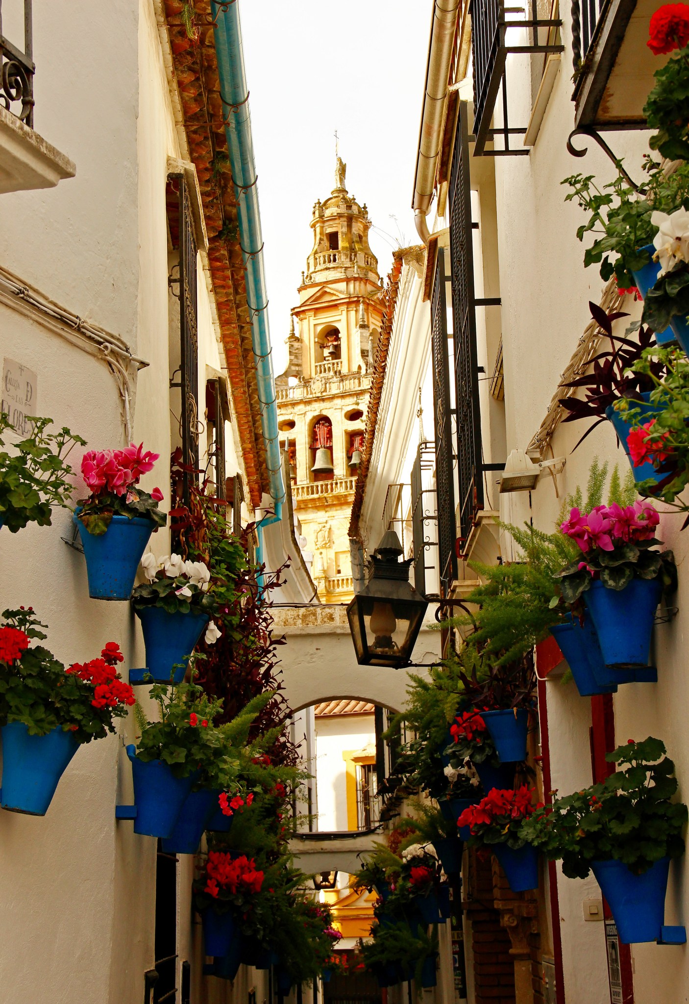 1803F50C-AB74-46CF-9F64-141E44542B7A