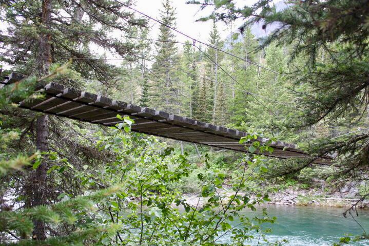 81D6B49B-E06E-4C54-87F7-A34550DE77AB