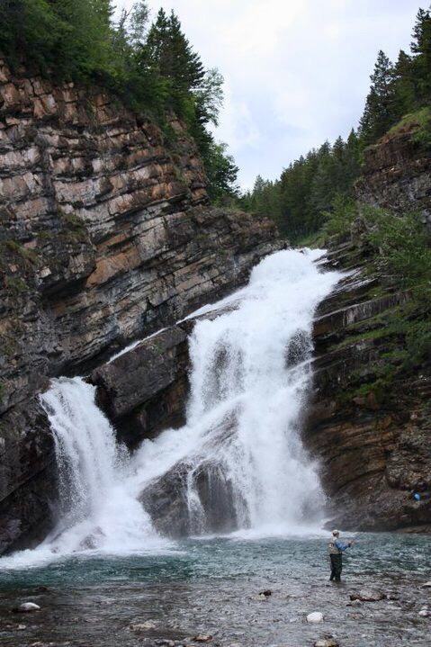 DD4D98FB-859F-4EAA-AD56-14DA1C00518C