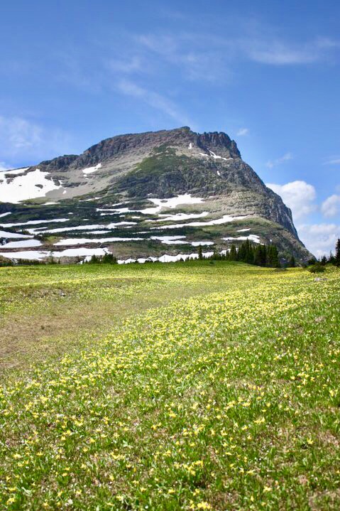 9EDEB7DA-9ED8-44C0-A4B5-ECA6D1D9BFFD