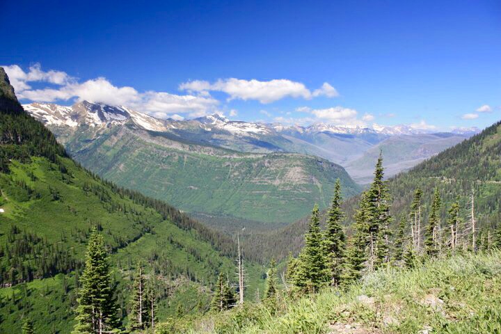 F8190F54-80AC-40CD-9324-F438586D13F9