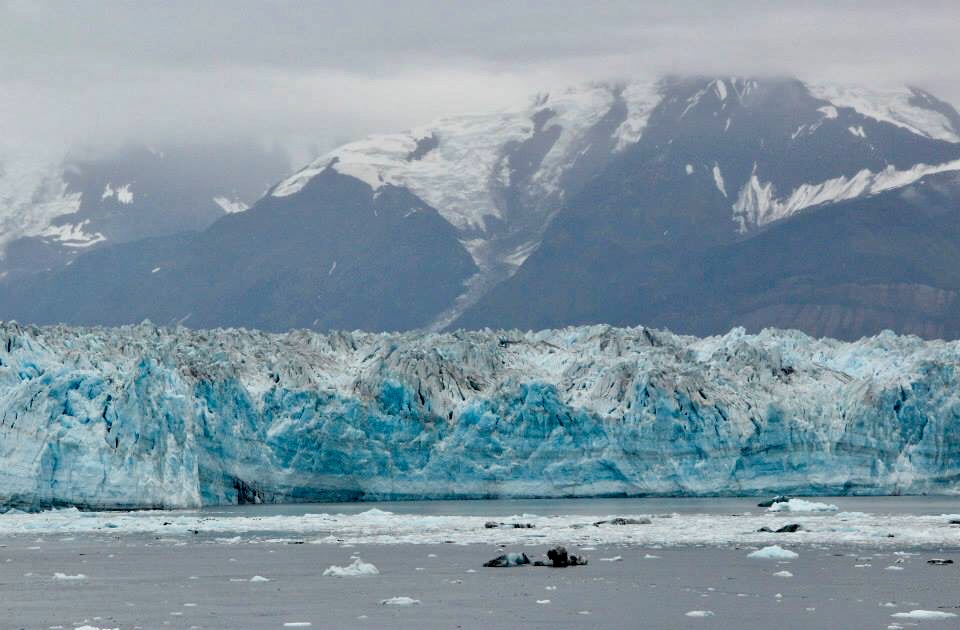 9807B8AD-2163-45C5-9B32-7228FA0365C3