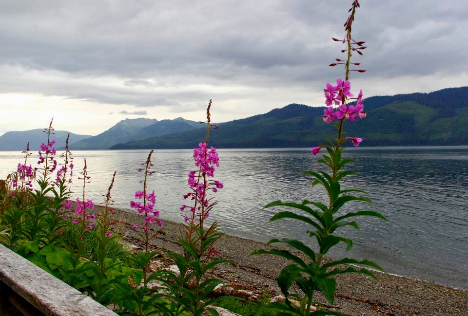 C1EDA19A-6B63-4809-BC8B-1C0A7621EFC1