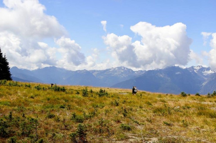 3E7C7F6C-C591-4DC3-8265-6B9E67DFCA70