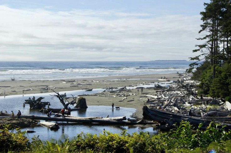 C5AAF175-810E-4304-A7CD-83E7077DFB45