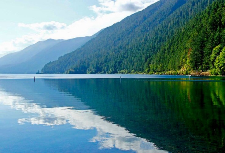 FC368724-9DFB-4E46-B719-76C85A570DAD