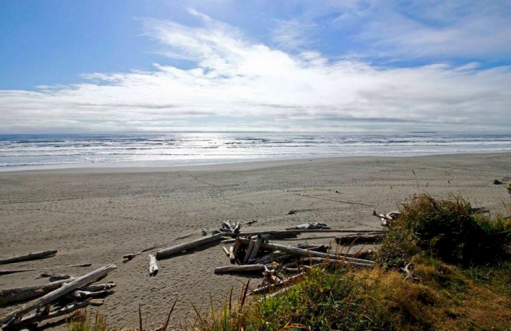 FD775F3D-1B2C-4F82-A6CC-A7867A70CC5A