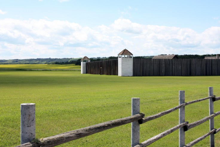 open competition beginner's