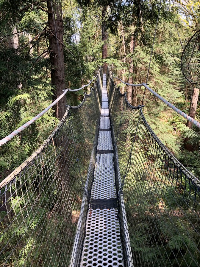 UBC Botanical Garden and Greenheart TreeWalk, Vancouver, B.C ...