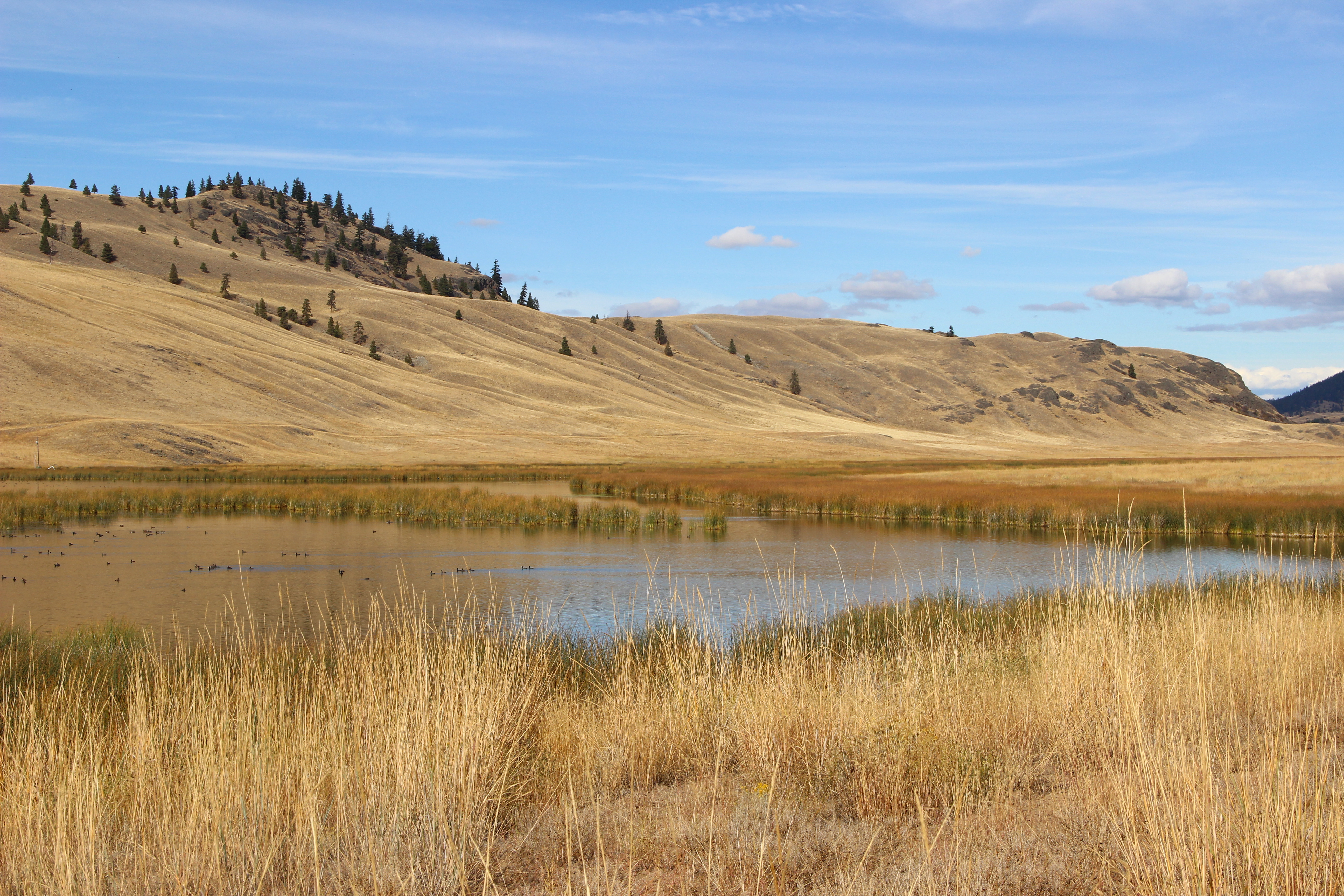 Road-Tripping Along Route 5A – Meandering My Way…